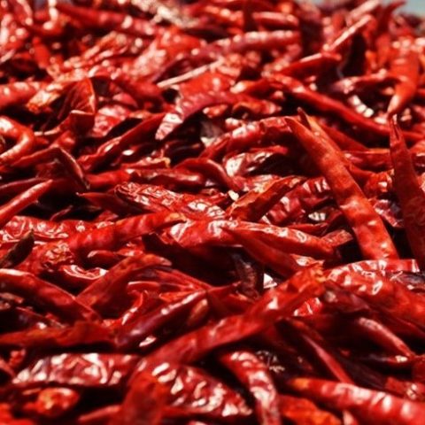 ardei-iute-chinezesc-1kg-480x480-1.jpg Ardei picanti uscati - imagine 1